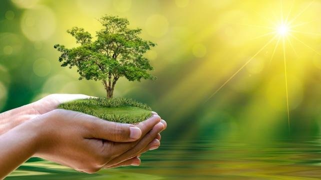 Counselling services